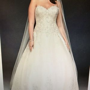 Beaded Lace and Tulle Wedding Dress (plus size)